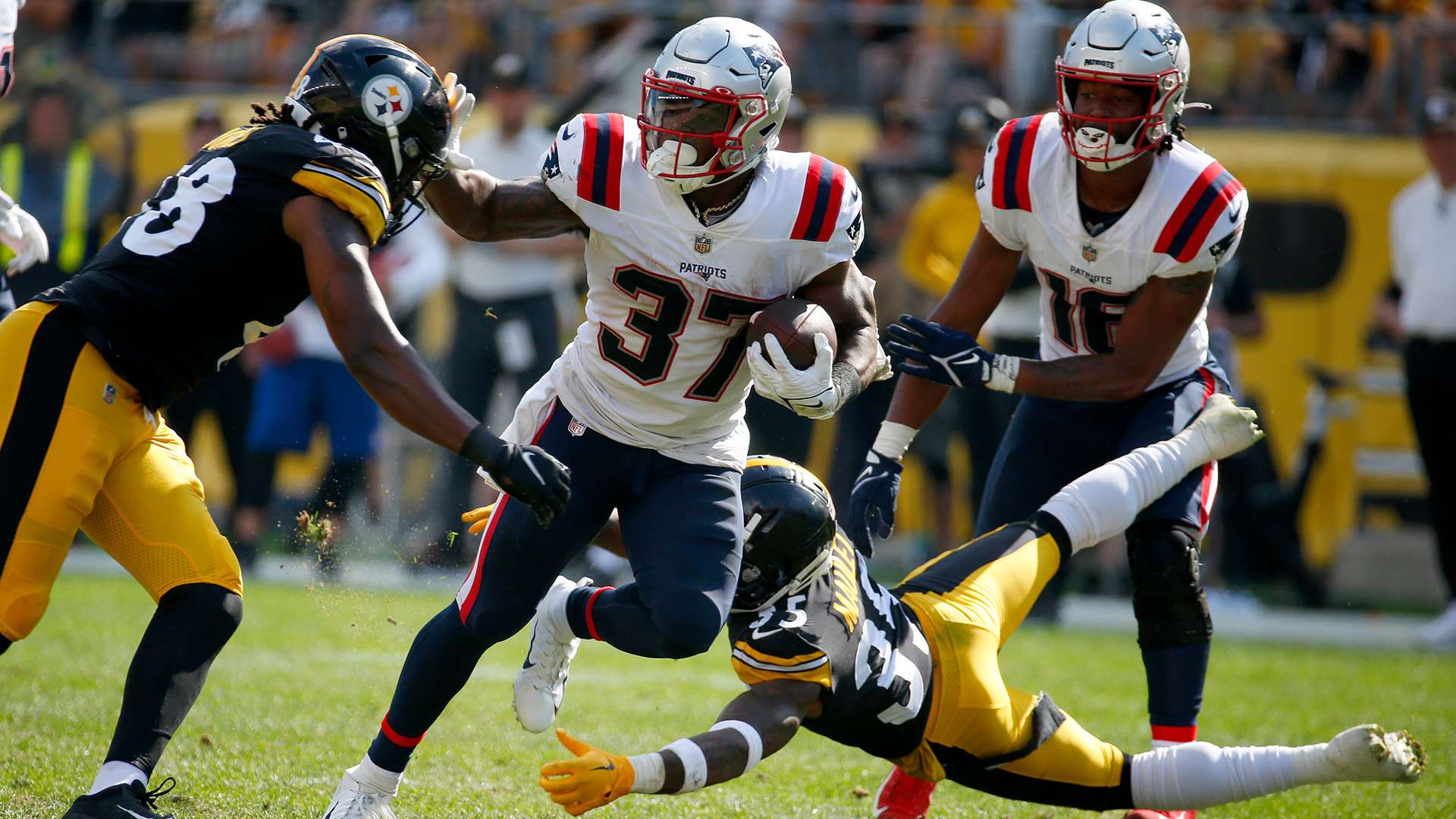 河南嵩山龍 河南嵩山龍