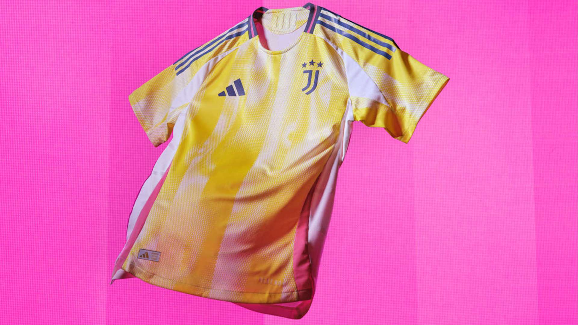 显著提高 显著提高