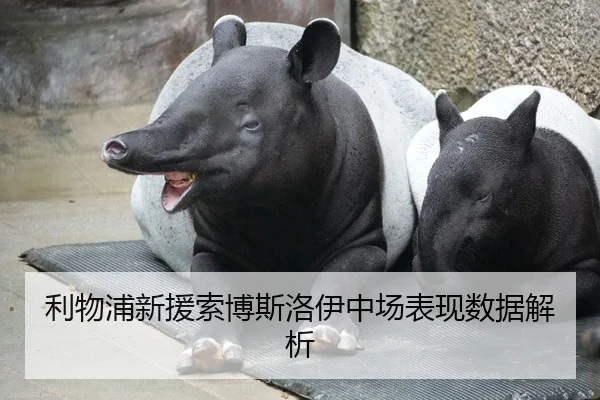 利物浦新援索博斯洛伊中场表现数据解析